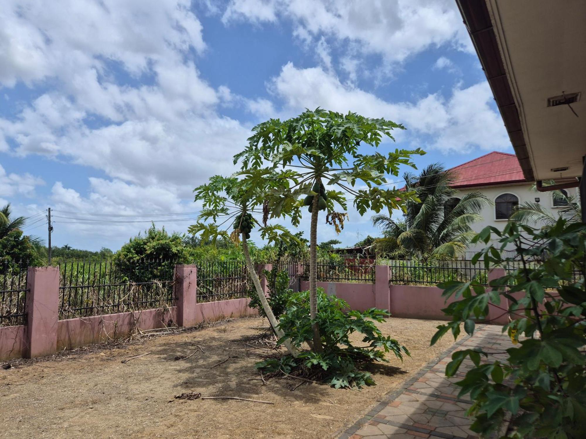 Chander'S Villa Paramaribo Eksteriør bilde