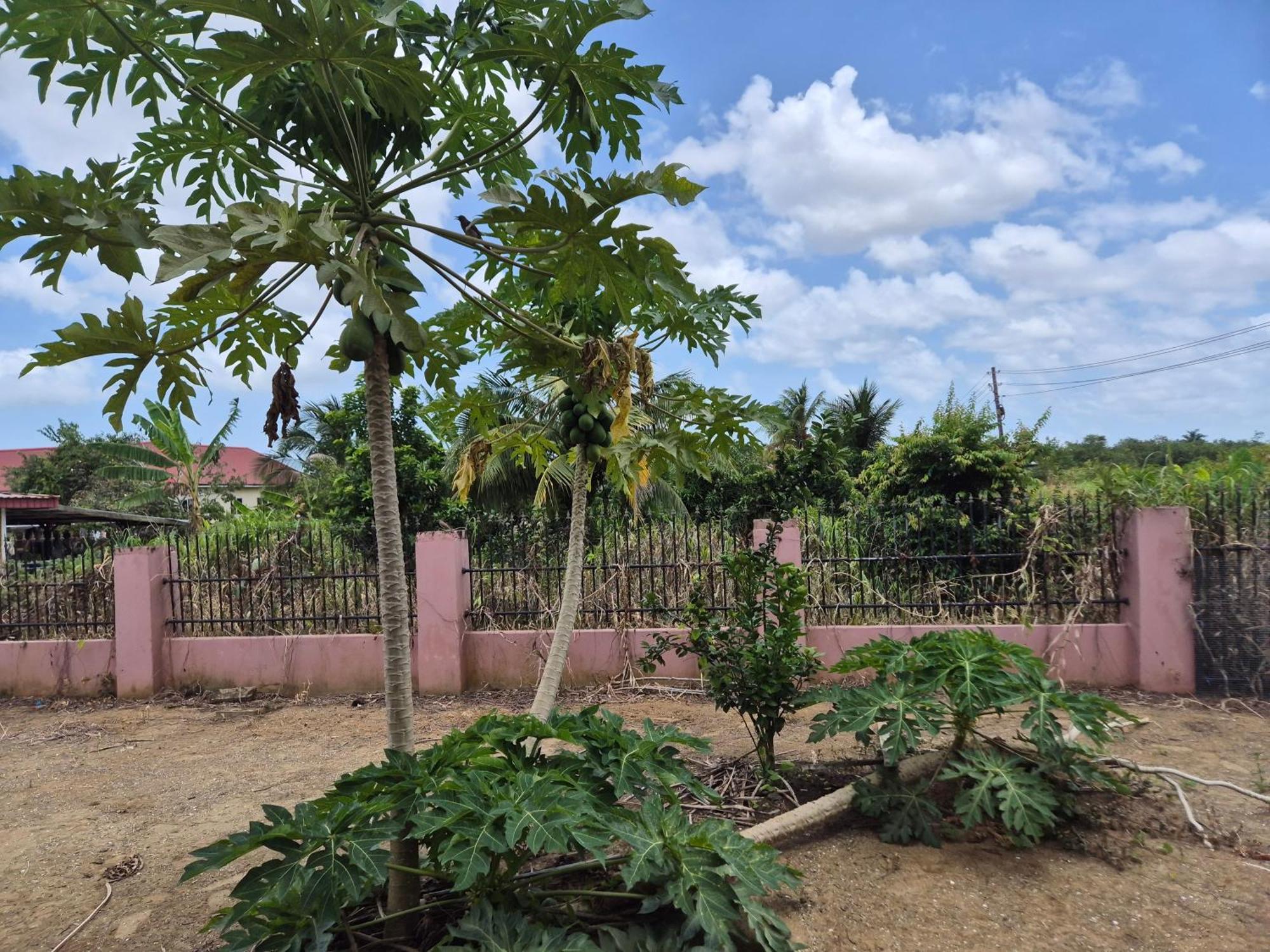 Chander'S Villa Paramaribo Eksteriør bilde