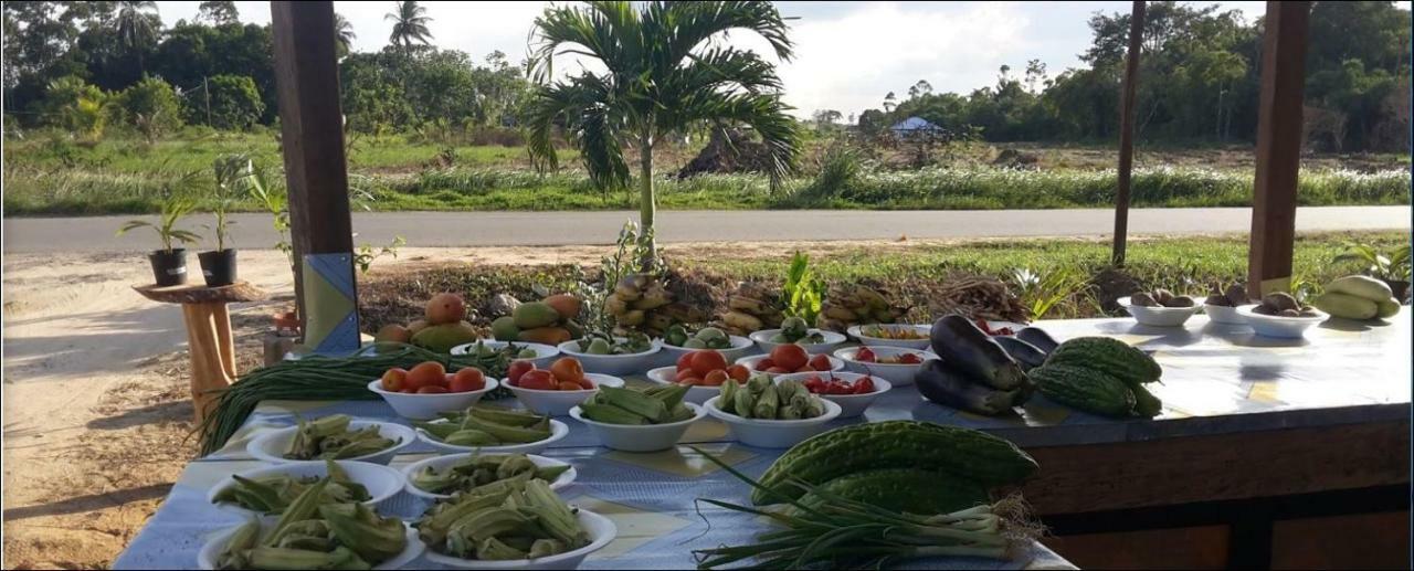 Chander'S Villa Paramaribo Eksteriør bilde